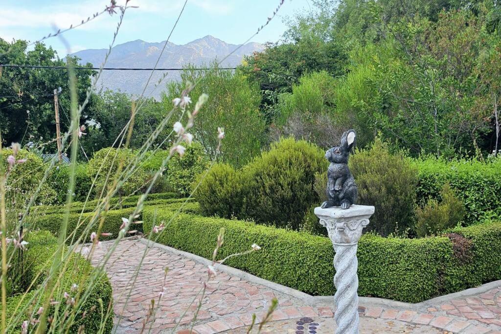 Grey Rabbit Cottage Montagu Exterior photo