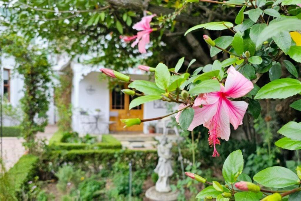 Grey Rabbit Cottage Montagu Exterior photo
