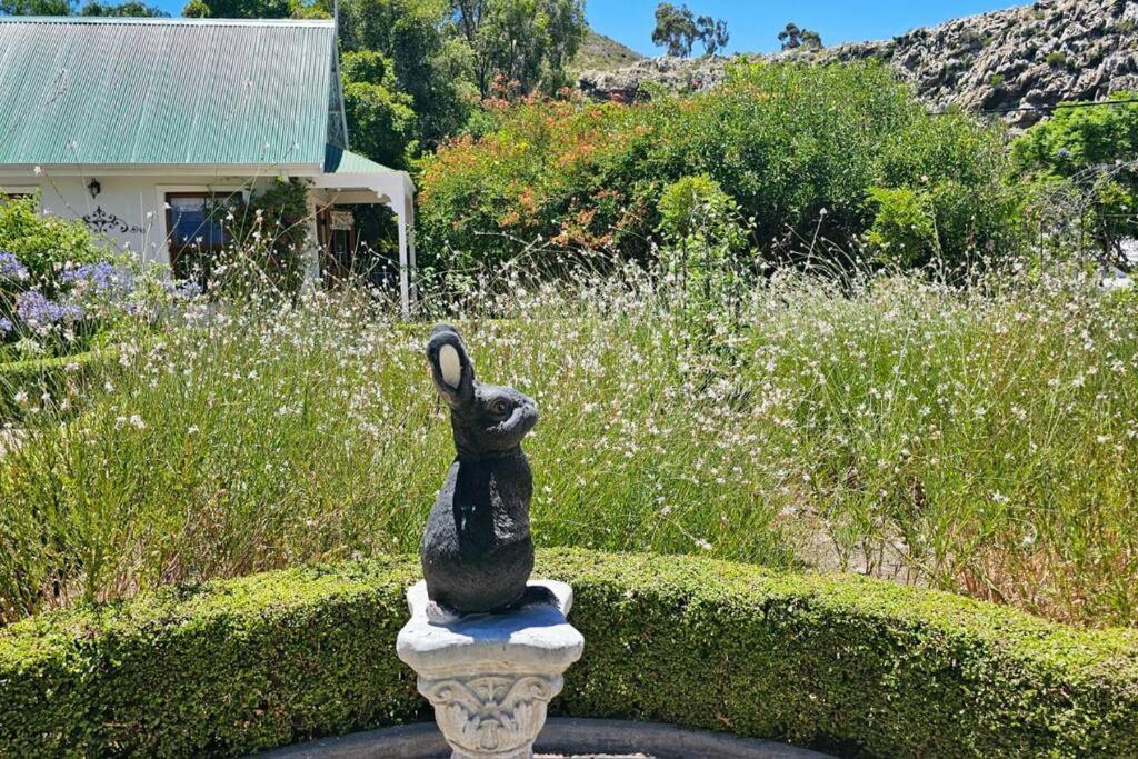 Grey Rabbit Cottage Montagu Exterior photo
