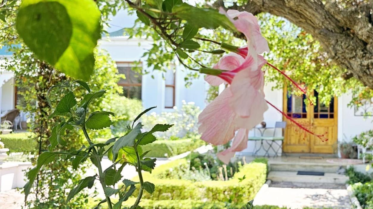 Grey Rabbit Cottage Montagu Exterior photo